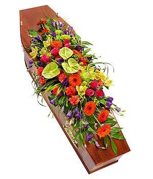 Vibrant Coffin Spray