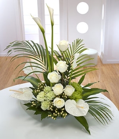 Modern Bouquets